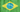 SelenaFendye Brasil